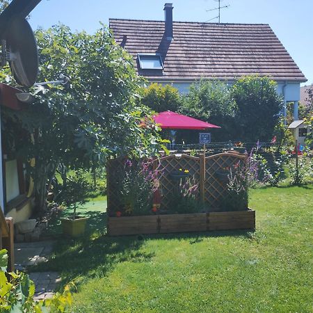 Gite Alsace Appenwihr Exterior foto